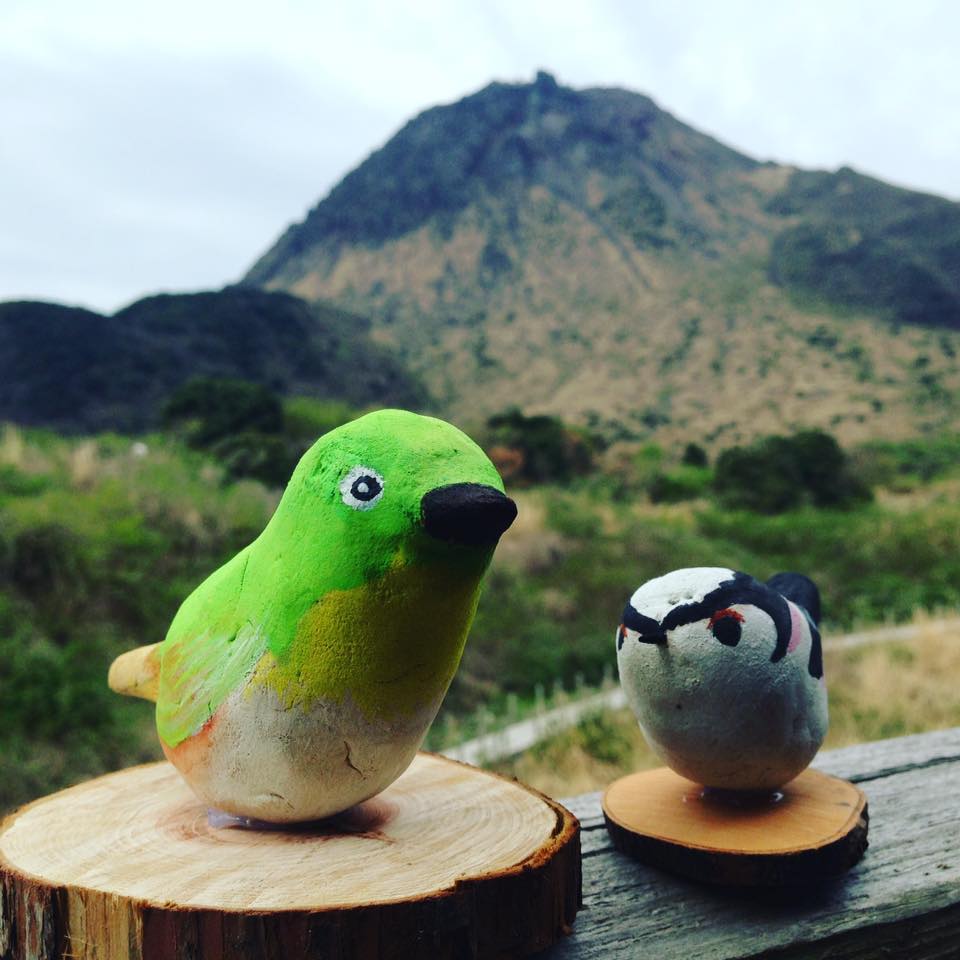 bird.jpg